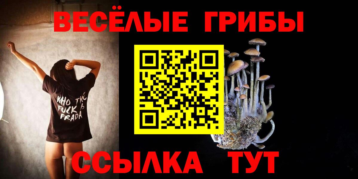 Галлюциногенные грибы Cubensis Реж