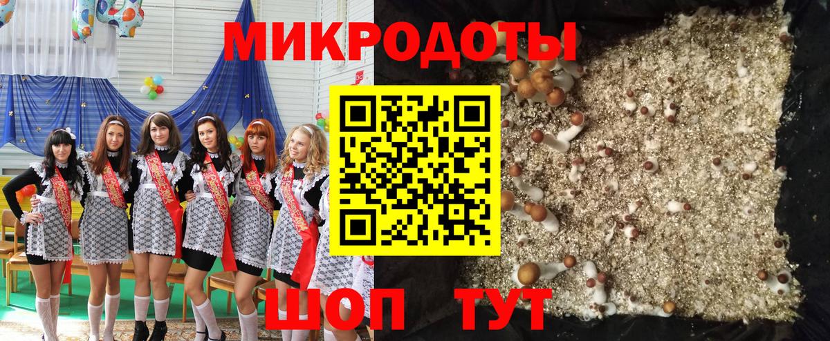 Галлюциногенные грибы MAGIC MUSHROOMS  Вход с VPN  Реж 